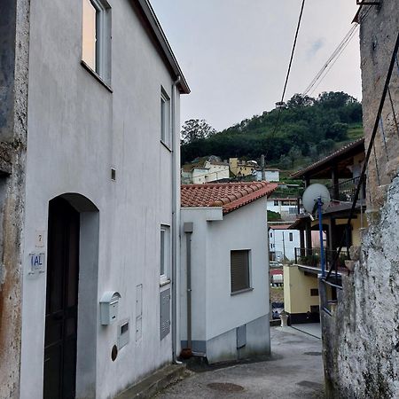 Casa Vale Do Rio Villa Penacova Exteriör bild